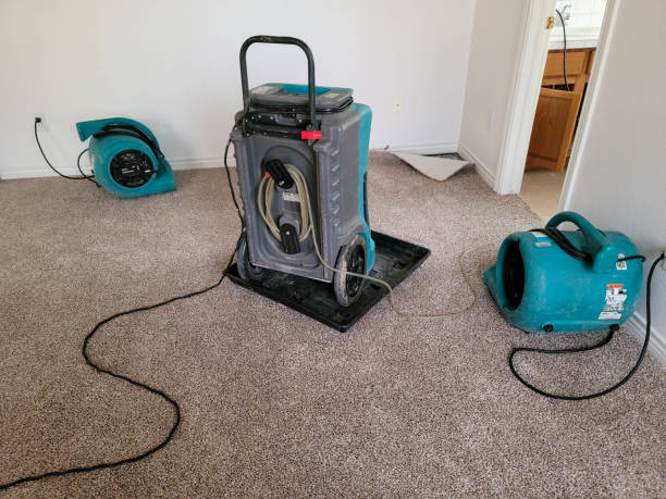 Best Professional water damage repair  in Rafter J Ranch, WY