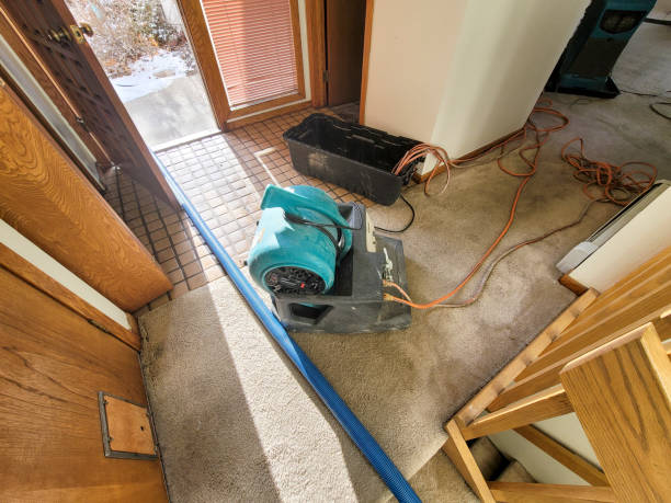 Best Professional water damage repair  in Rafter J Ranch, WY