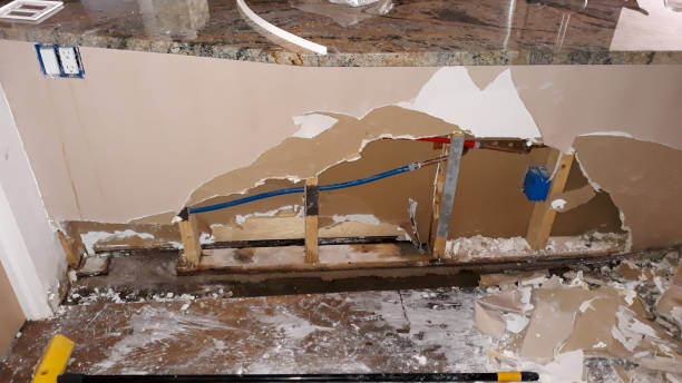 Best Water damage restoration company  in Rafter J Ranch, WY