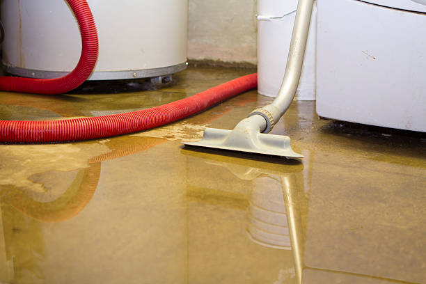 Best Water damage restoration cost  in Rafter J Ranch, WY