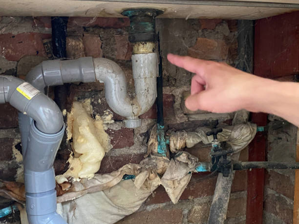 Best Water damage cleanup near me  in Rafter J Ranch, WY