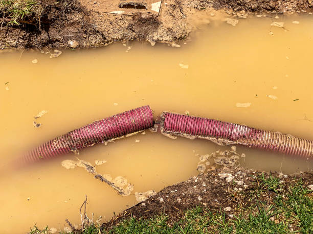 Best Water damage contractors near me  in Rafter J Ranch, WY
