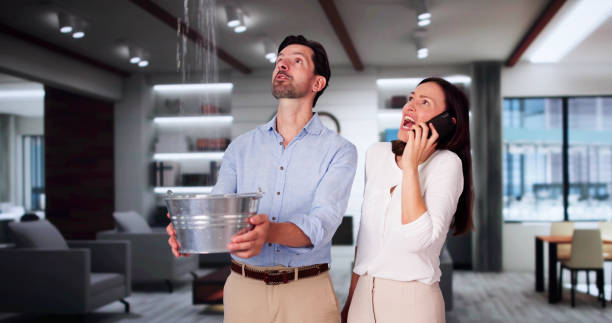 Best 24-hour water damage restoration  in Rafter J Ranch, WY